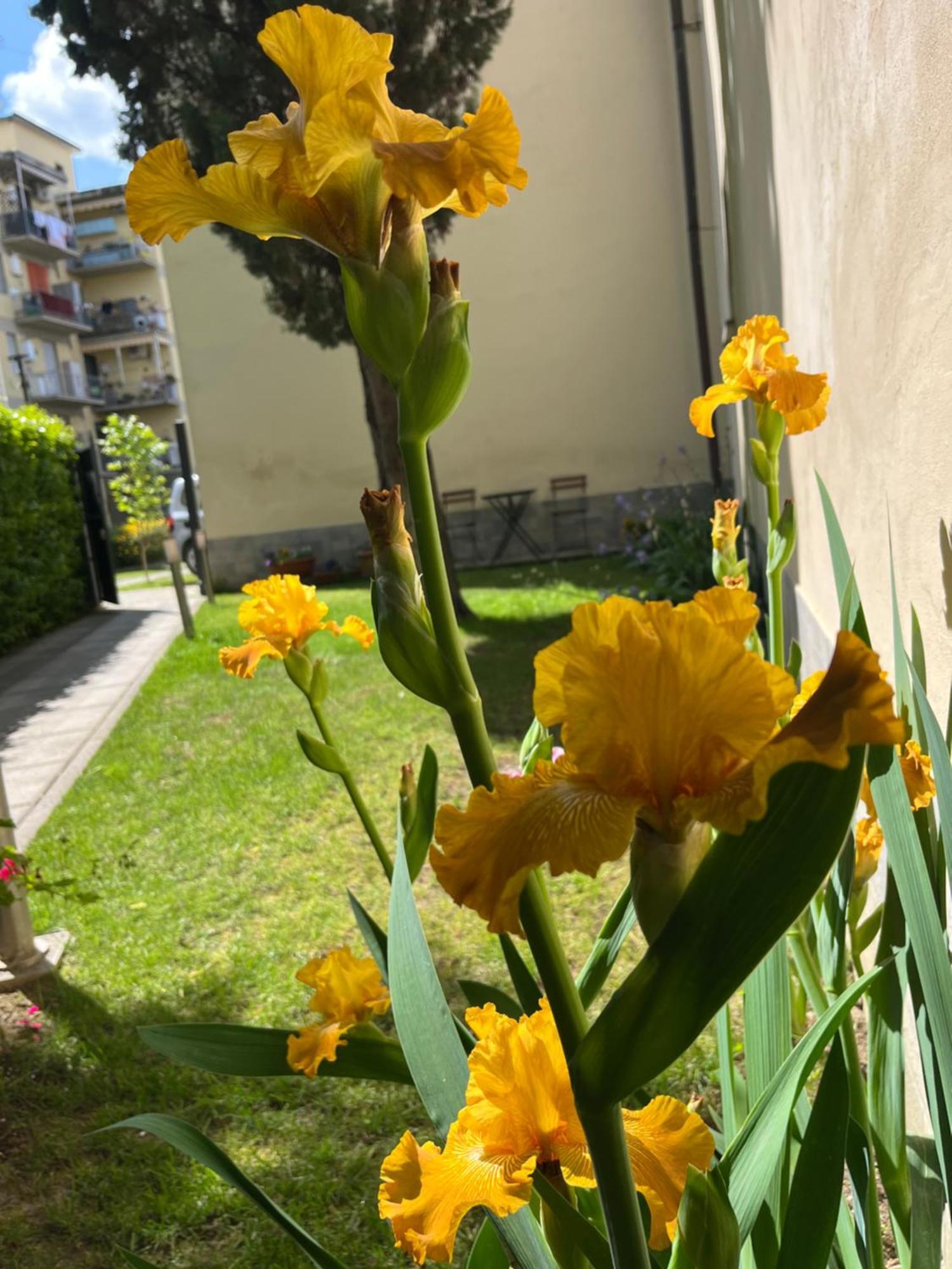 Apartamento Dalu Davide - Private Car Park 15 Minutes To The Center *